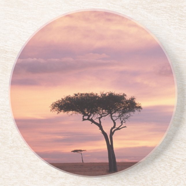 Silhouette image of acacia tree at sunrise coaster (Front)