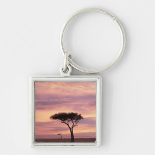 Silhouette image of acacia tree at sunrise key ring