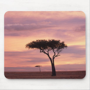 Silhouette image of acacia tree at sunrise mouse mat