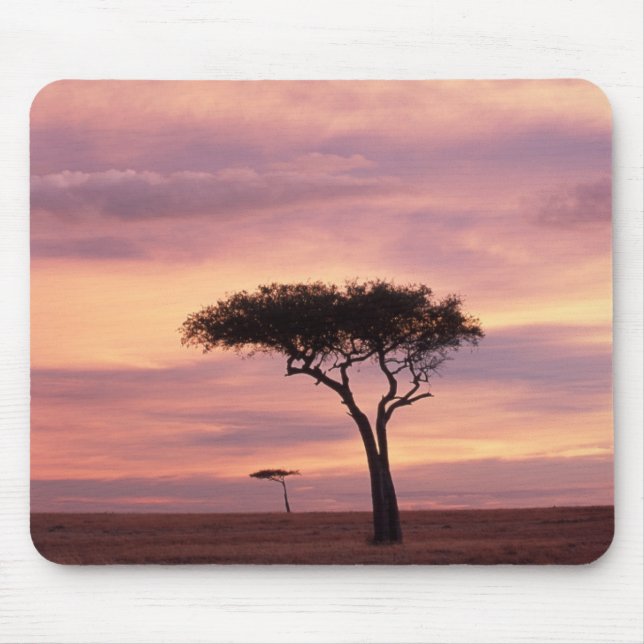 Silhouette image of acacia tree at sunrise mouse mat (Front)