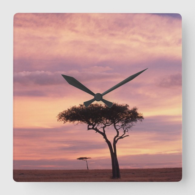 Silhouette image of acacia tree at sunrise square wall clock (Front)