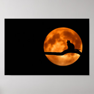 Silhouette of a Black Cat in a Tree Poster