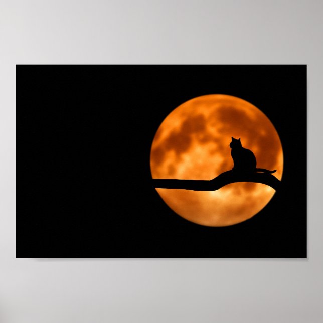 Silhouette of a Black Cat in a Tree Poster (Front)