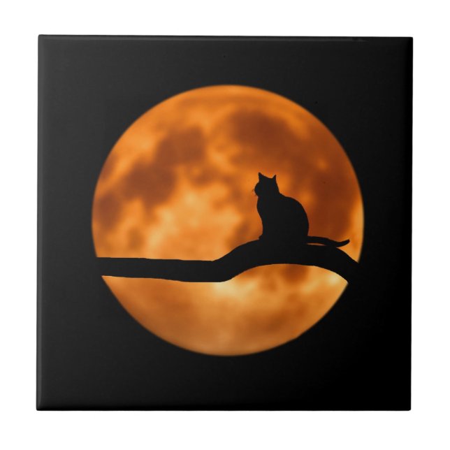 Silhouette of a Black Cat in a Tree Tile (Front)