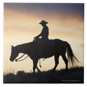 Silhouette of a Cowgirl on her horse against the Tile