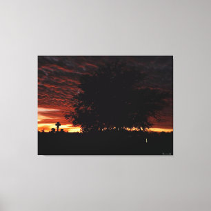 Silhouette of a Tree at Dusk Canvas Print