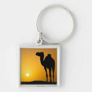 Silhouette of a wild camel at sunset key ring
