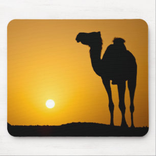 Silhouette of a wild camel at sunset mouse mat