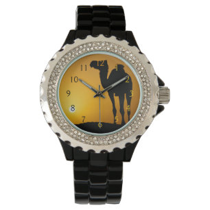 Silhouette of a wild camel at sunset watch