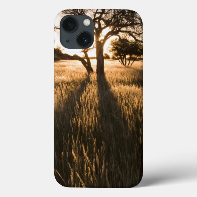 Silhouette Of Acacia Trees In Grass. Mariental Case-Mate iPhone Case (Back)