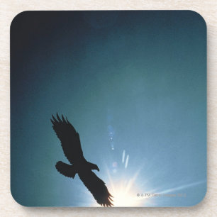 Silhouette of bald eagle flying in sky coaster