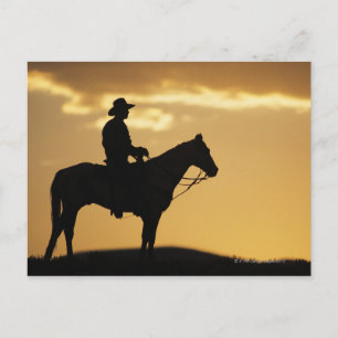 Silhouette of cowboy on horseback at sunset or postcard