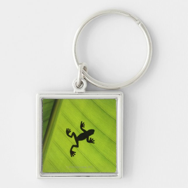 Silhouette of frog through banana leaf key ring (Front)