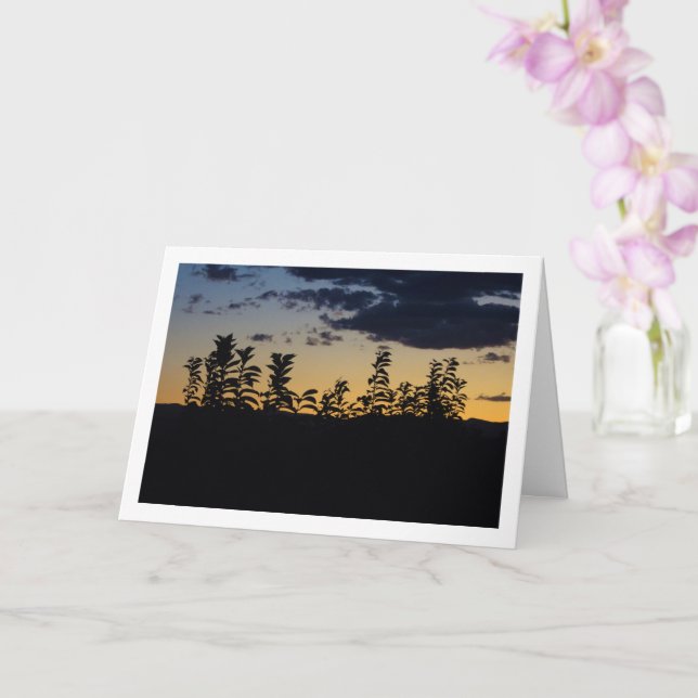 Silhouette of Leaves at Night Card (Orchid)