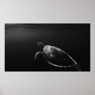 SILHOUETTE OF SEA TURTLE UNDERWATER POSTER