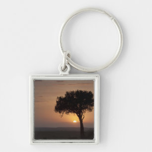 Silhouette of tree on plain, Masai Mara 2 Key Ring