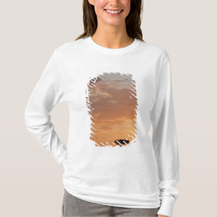 Silhouette of tree on plain, Masai Mara T-Shirt