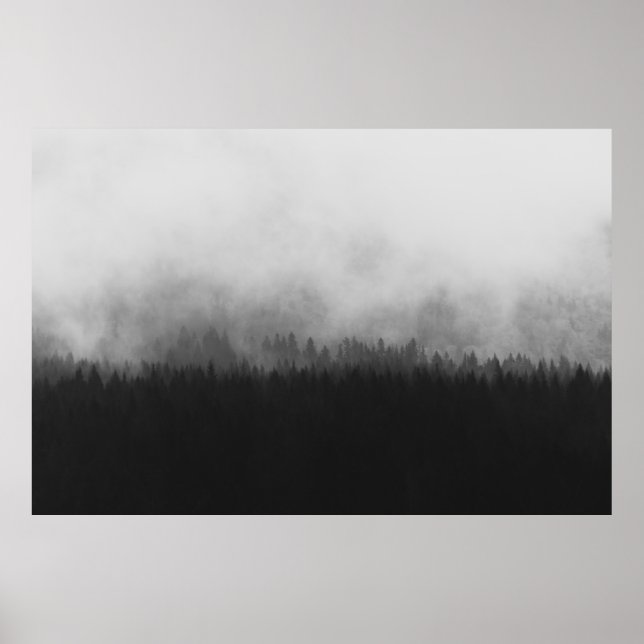 SILHOUETTE OF TREES WITH FOGS POSTER (Front)