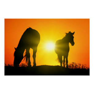 Silhouette of Two Horses at Sunset Poster