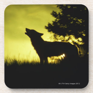 Silhouette of wolf howling coaster