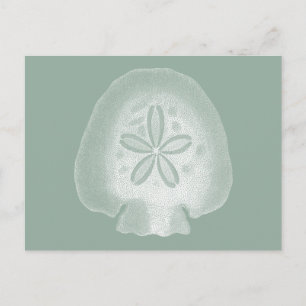 Silhouette Sand Dollar Postcard