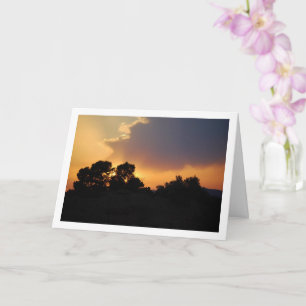Silhouette Tree Landscape Card