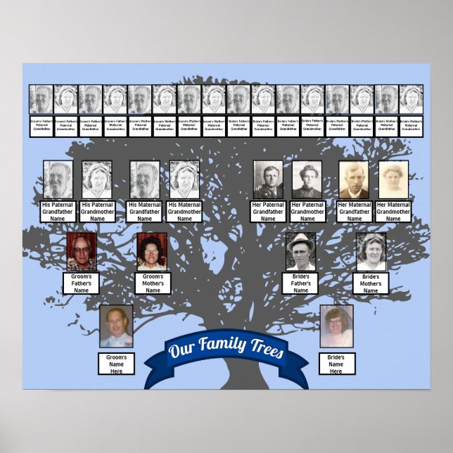 Silhouette Tree Photo Two Family Trees    Poster (Front)