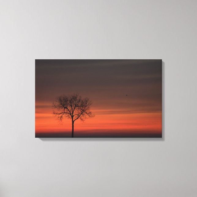 Silhouette Tree Stretched Canvas Print (Front)