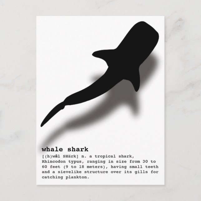 Silhouette Whale Shark with Definition Beach Postcard (Front)