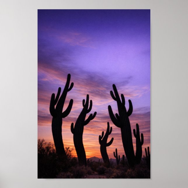 Silhouetted Cacti Moving with Twilight Poster (Front)