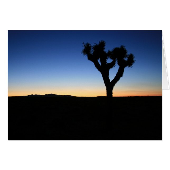 Silhouetted Joshua Tree (Front Horizontal)