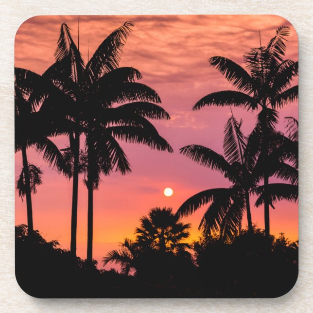 Silhouetted palm trees, Hawaii Coaster (Front)