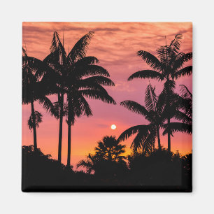 Silhouetted palm trees, Hawaii Magnet