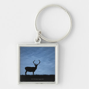 Silhouetted Red Deer Stag at Night Key Ring
