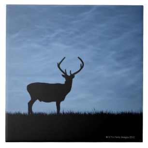 Silhouetted Red Deer Stag at Night Tile