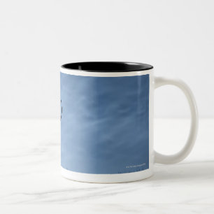 Silhouetted Red Deer Stag at Night Two-Tone Coffee Mug