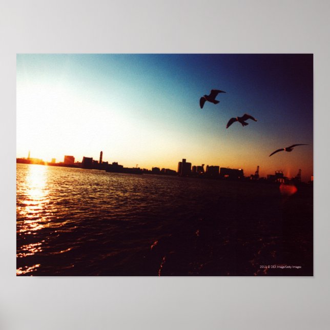 Silhouetted Tokyo Bay skyline at sunset Poster (Front)