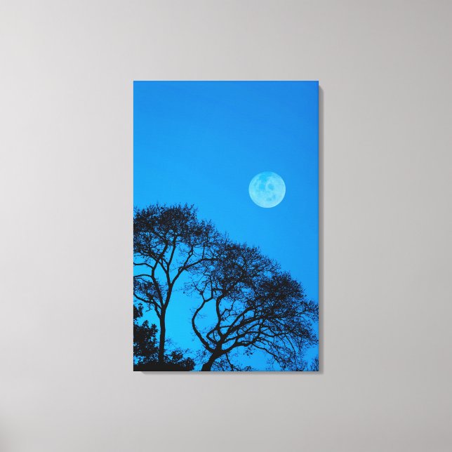 Silhouetted trees and full moon canvas print (Front)