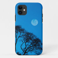 Silhouetted trees and full moon