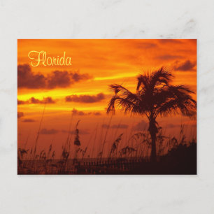 Silhouettes of Florida Postcard