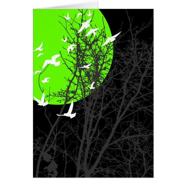 silhouscreen birds (Front)