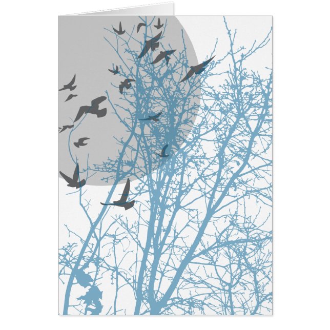 silhouscreen birds (Front)