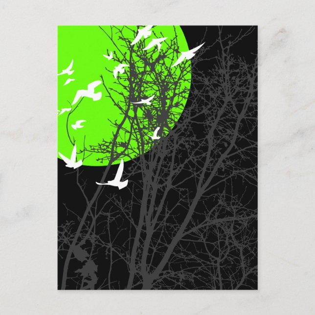 silhouscreen birds postcard (Front)