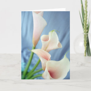 Silk Parade White Calla Lily Photo Note Cards