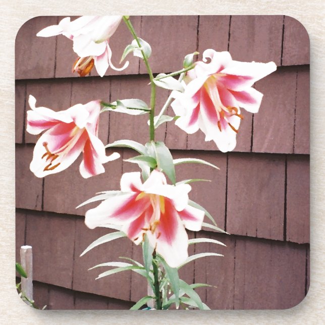 Silk Road Lily Coaster (Front)