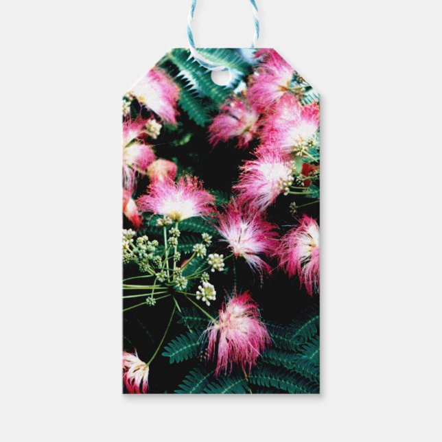 Silk Tree Gift Tags (Front)