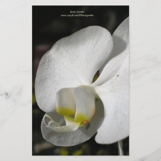 Silk White Orchid Personalised Staionery Stationery (Front)