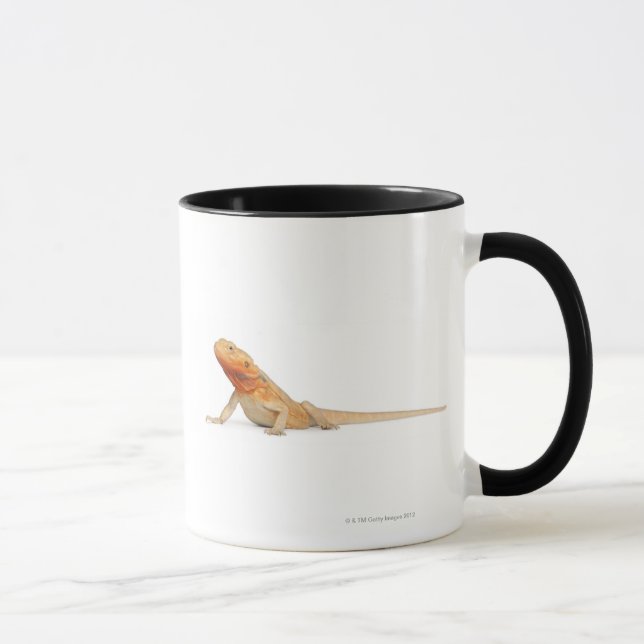 SilkBacks scaleless Bearded Dragon - Pogona Mug (Right)