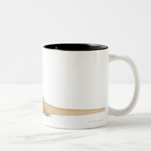 SilkBacks scaleless Bearded Dragon - Pogona Two-Tone Coffee Mug