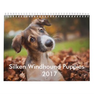 Silken Puppy Calendar 2017